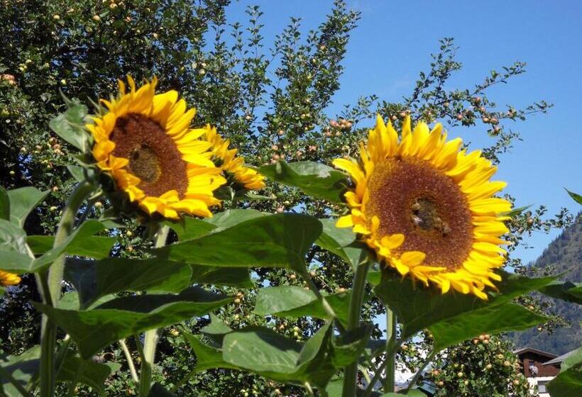 هتل Zittrauerhof   Urlaub Am Bauernhof Gastein