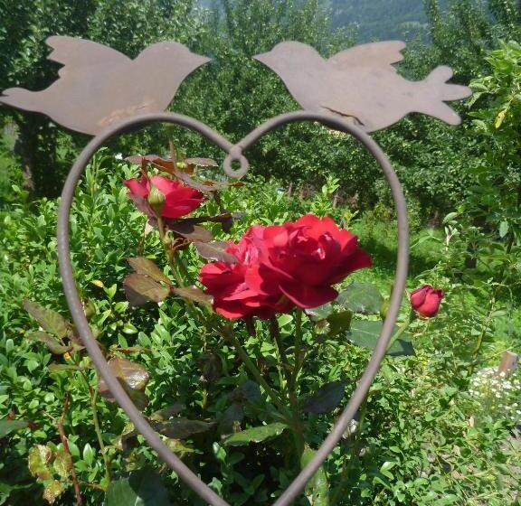 هتل Zittrauerhof   Urlaub Am Bauernhof Gastein