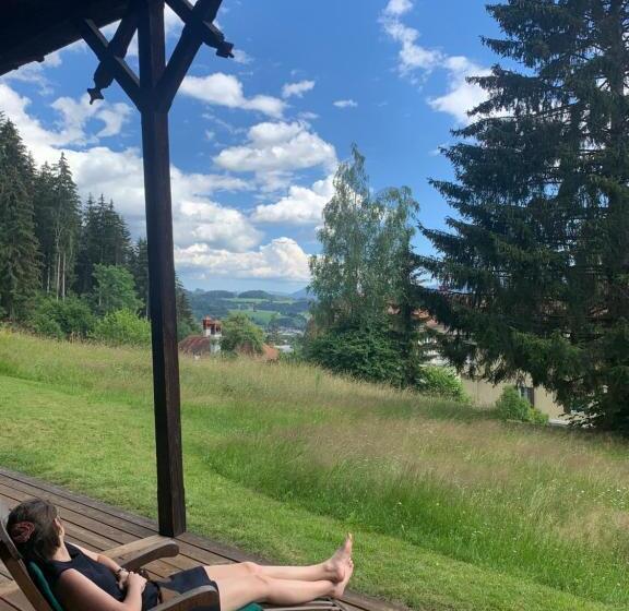 ホテル Landsitz Pichlschloss