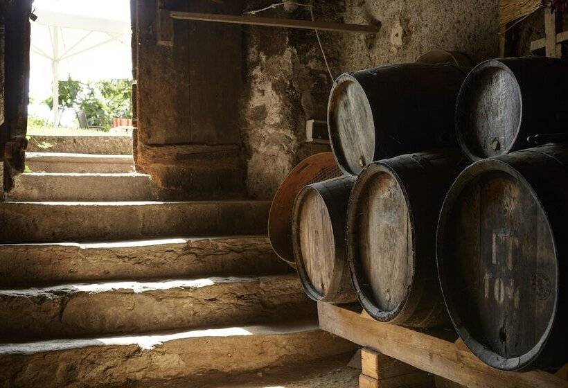 هتل Schloss Plars Wine & Suites