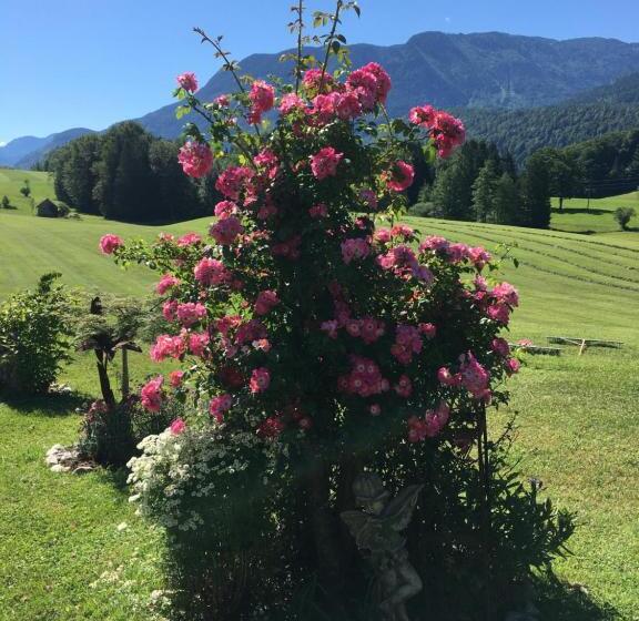 Maislbauer