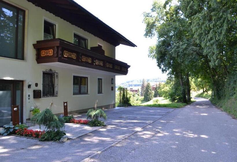 פנסיון Gästehaus Pfisterer