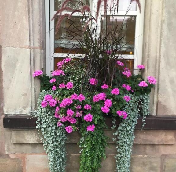 בית מלון כפרי Altmann's Stube