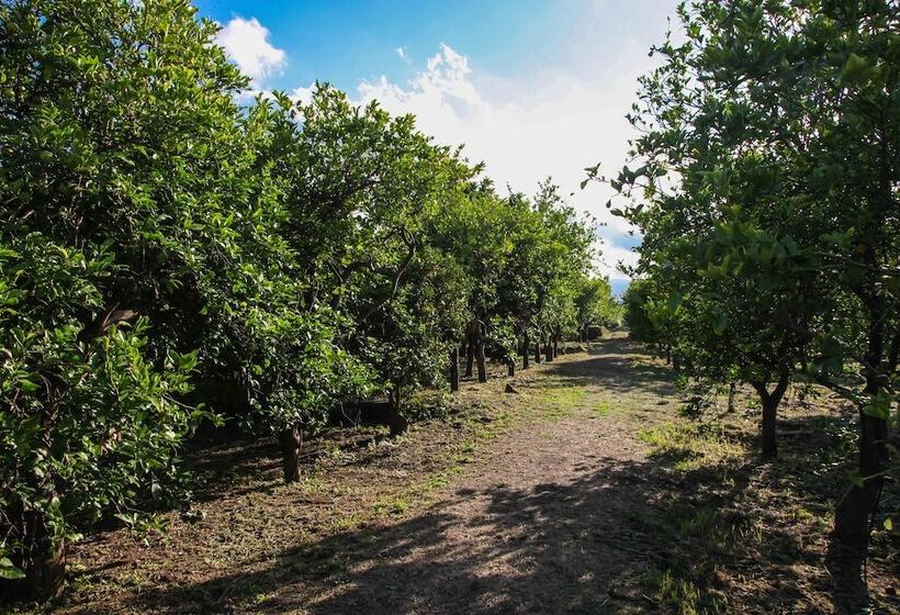 هتل Agriturismo Galea