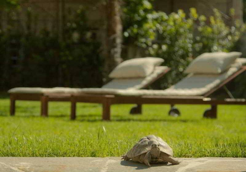 Fotos del hotel Relais La Corte Di Cloris:  12