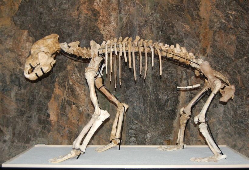 هتل Residence Oleandro