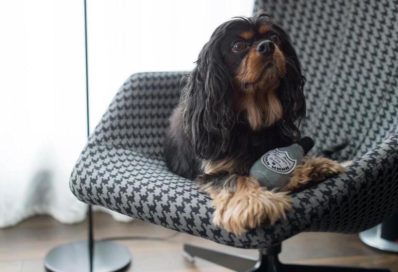 Fotos del hotel South Place:  43