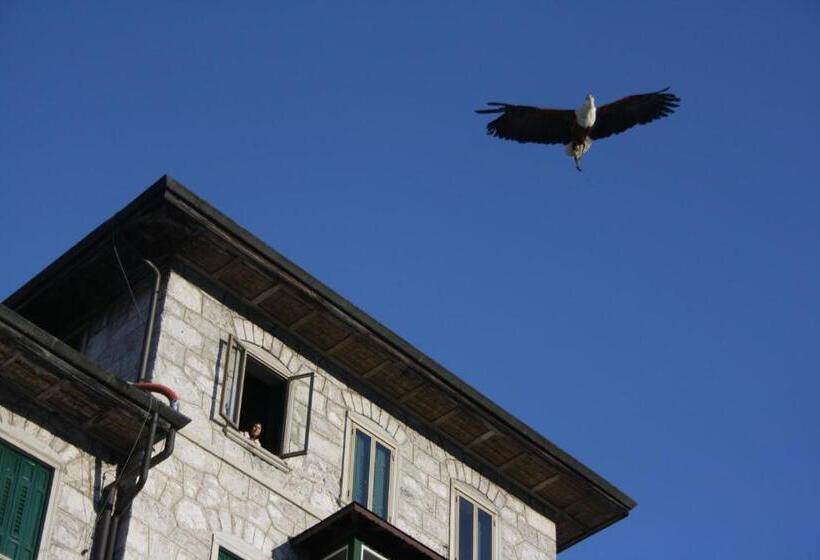 Th Borca Di Cadore   Park Hotel Des Dolomites