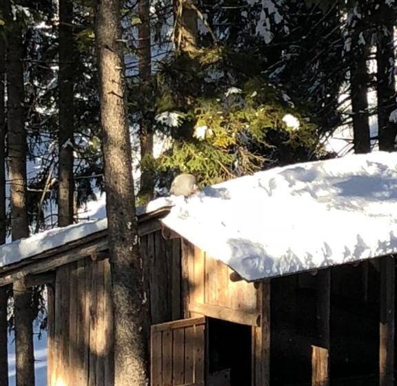 Th Borca Di Cadore   Park Hotel Des Dolomites