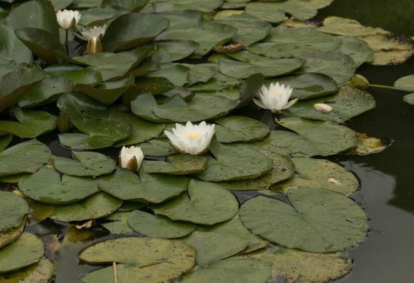 צימר Haus Am Wasserfall