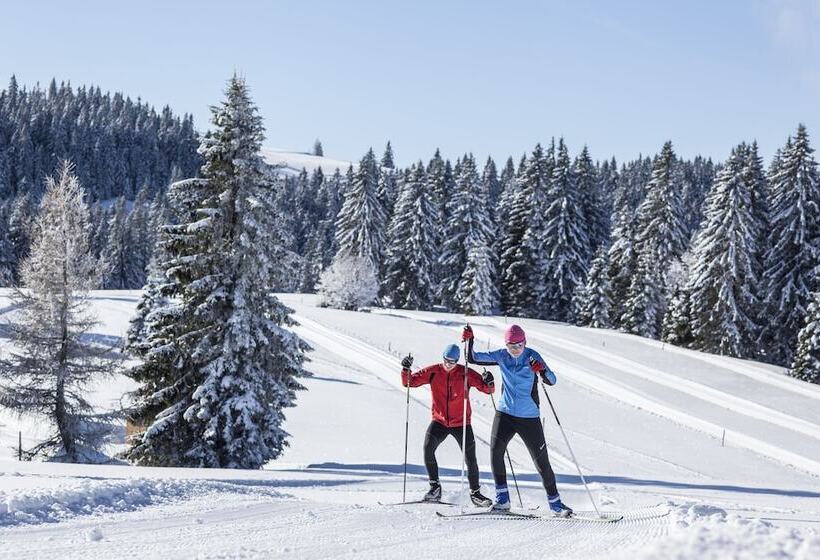 Das Waldhotel   Genuss & Wellness Am Notschreipass