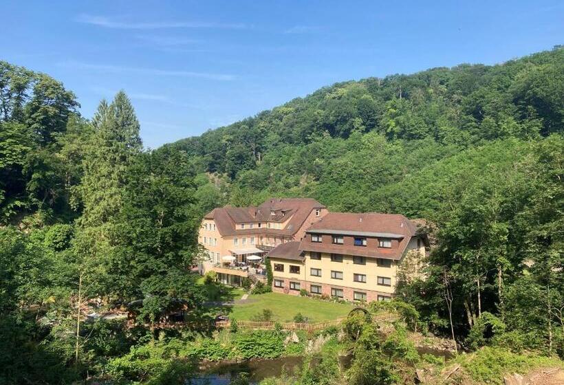 هتل Fuchs'sche Mühle