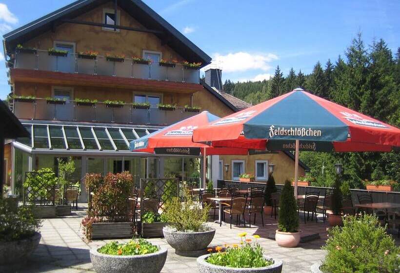 Hotel Ladenmühle