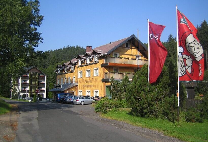 Hotel Ladenmühle