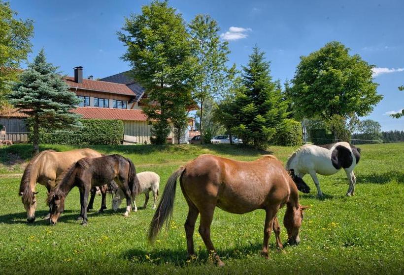 Hotel Landgasthof Zum Schwanen