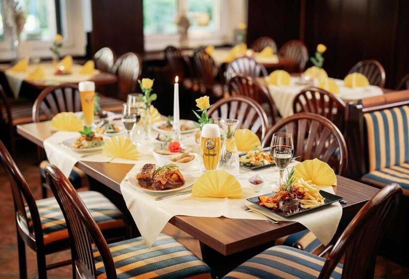 Отель Park Cafe Reichl