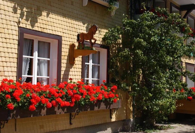 酒店 Schwarzwald Gasthof Rößle