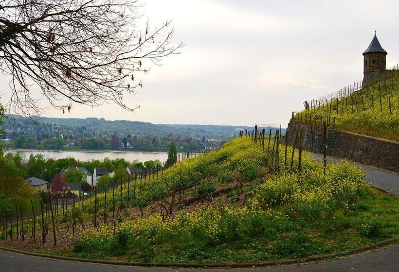 فندق Weinhaus Hoff