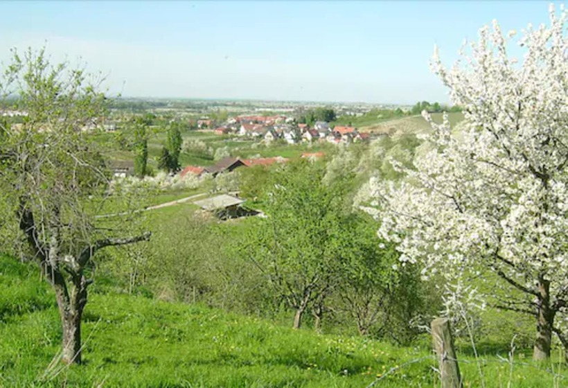 پانسیون Gasthof Rose