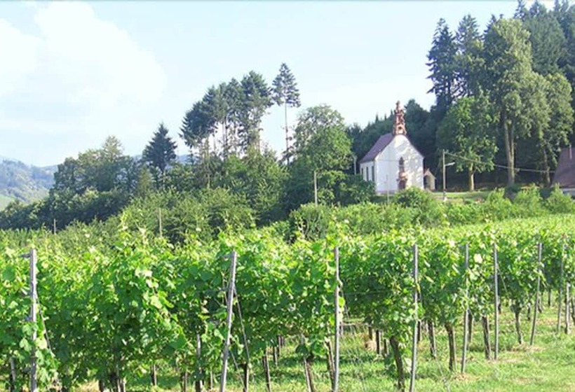 پانسیون Gasthof Rose