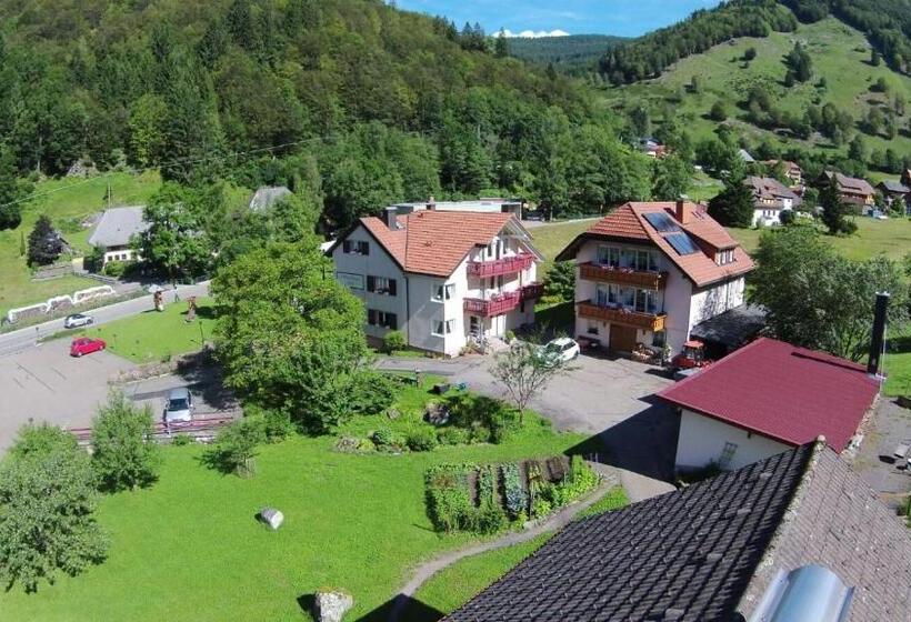 پانسیون Landgasthaus Kurz Hotel & Restaurant Am Feldberg   Schwarzwald