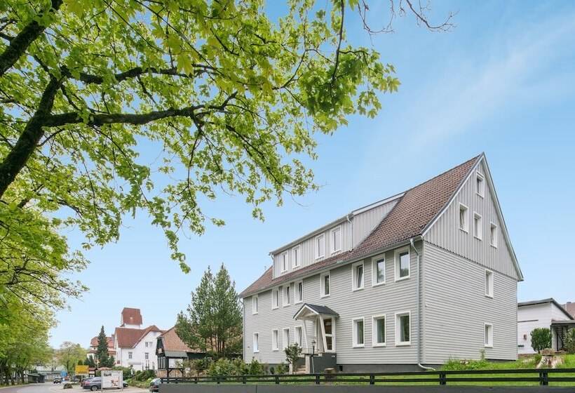 هتل Altes Forsthaus Braunlage