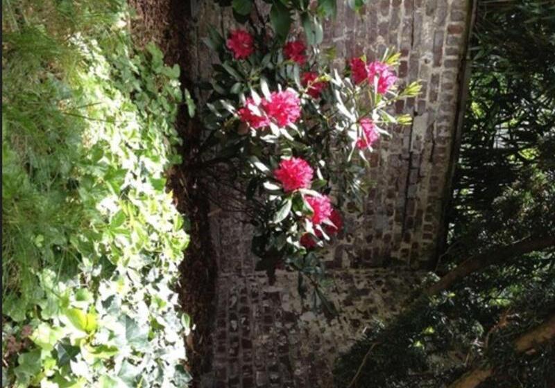 Fotos del hotel Am Hofgarten:  16