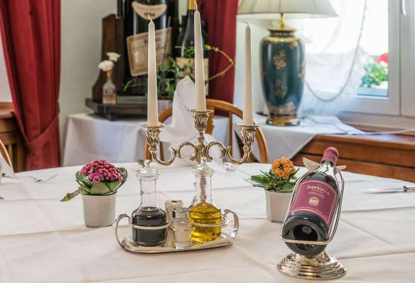 هتل Goldener Sternen