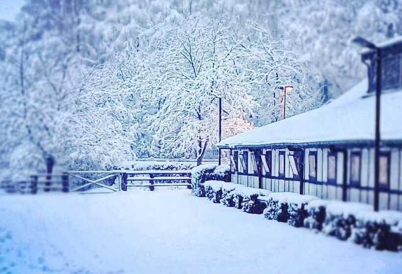 Fotos del hotel Gut Moschenhof:  3