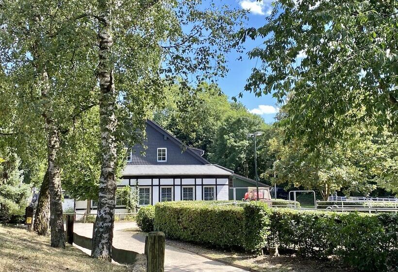 Fotos del hotel Gut Moschenhof:  7