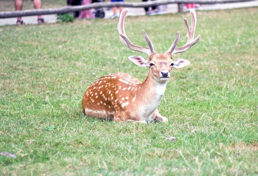 Fotos del hotel Gut Moschenhof:  23