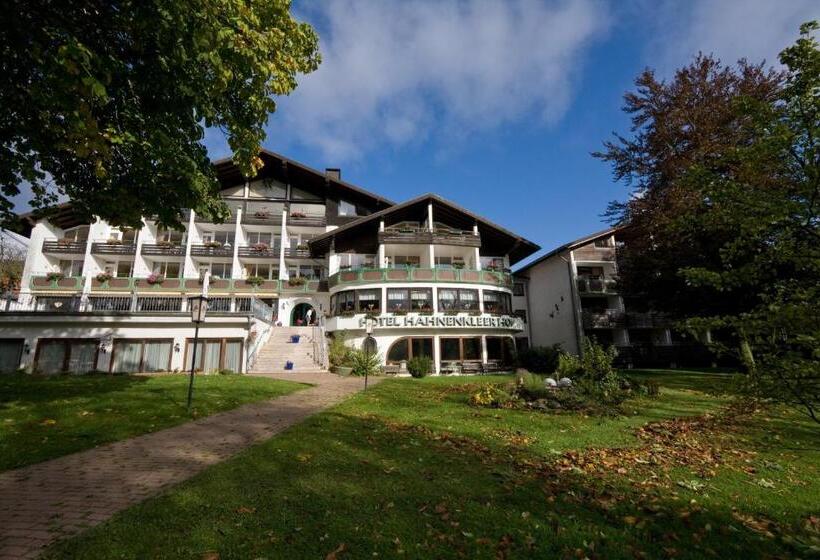 هتل Hahnenkleer Hof