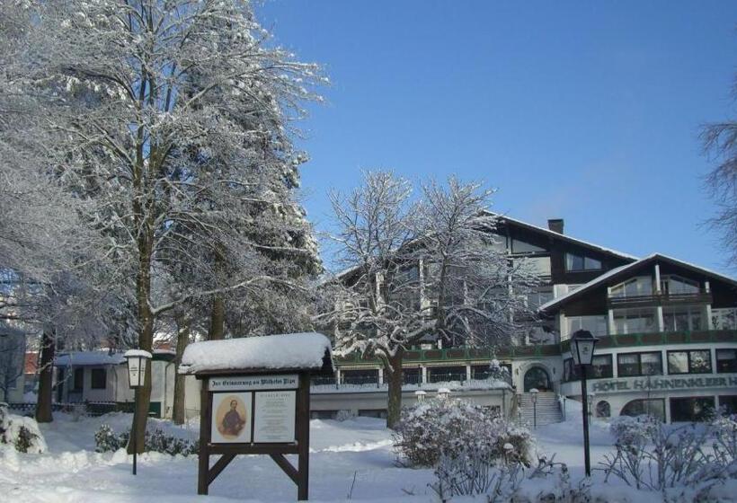 هتل Hahnenkleer Hof