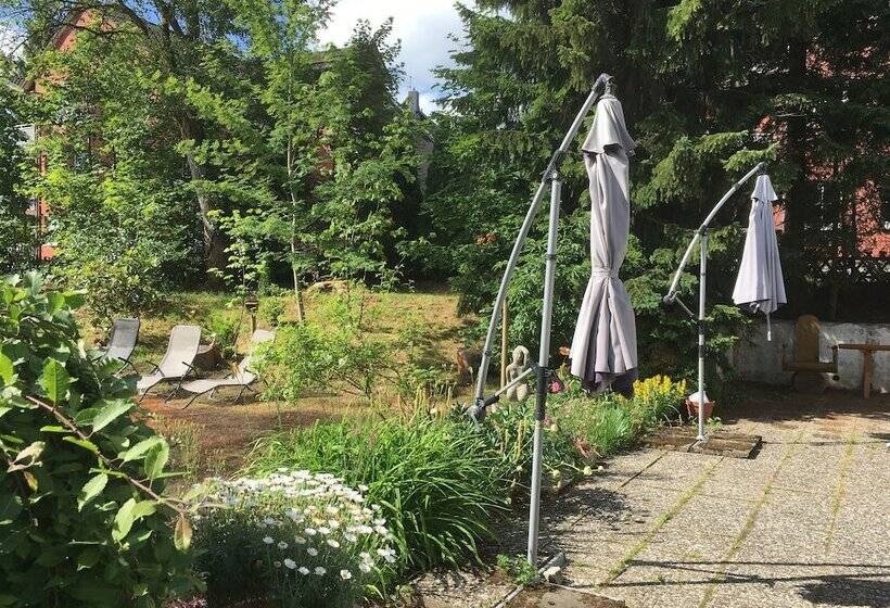 Отель Hasselhof Garni Vier Sterne