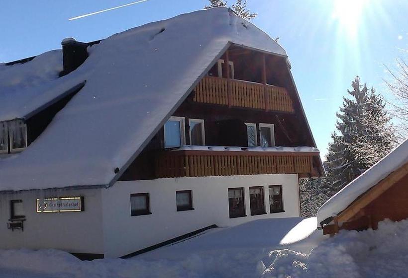 Отель Schwarzwaldgasthaus Salenhof