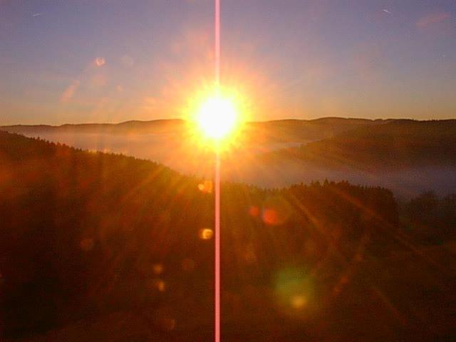 Отель Schwarzwaldgasthaus Salenhof