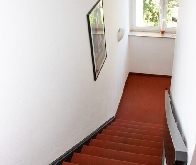 Fotos del hotel Stern:  19