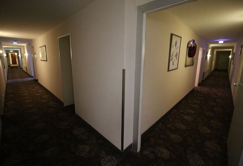 هتل Zum Adler  Superior