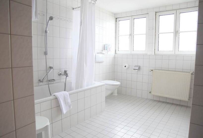 پانسیون Brauereigasthof/hotel Bürgerbräu