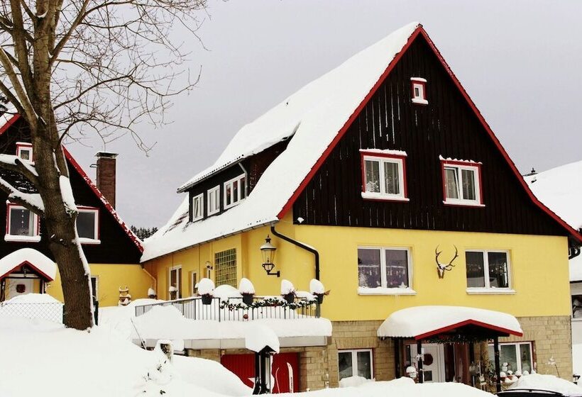 Pension (Hôtel basse catégorie) Gästehaus Harzglück