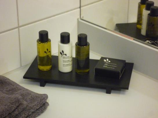 בית מלון כפרי Burgholz