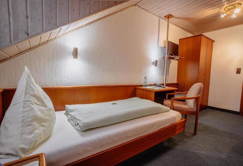 Fotos del hotel Concordia:  8