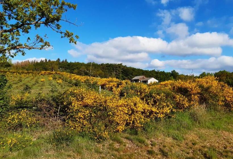 Отель Landgasthof Zum Adler