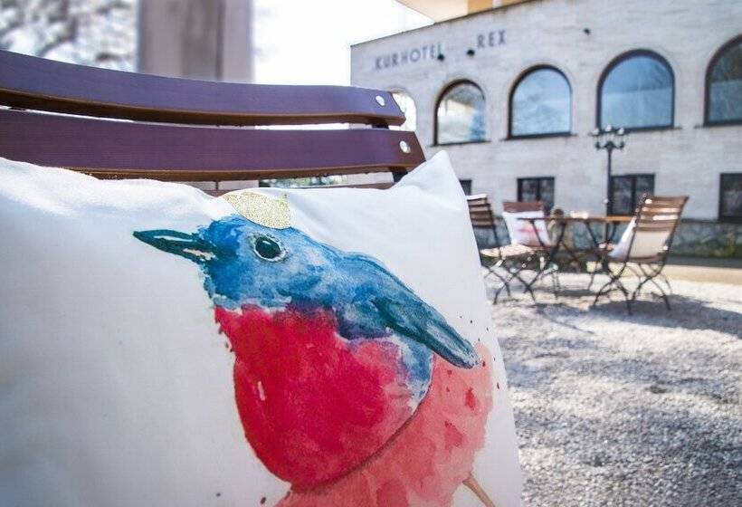 בית מלון כפרי Rex