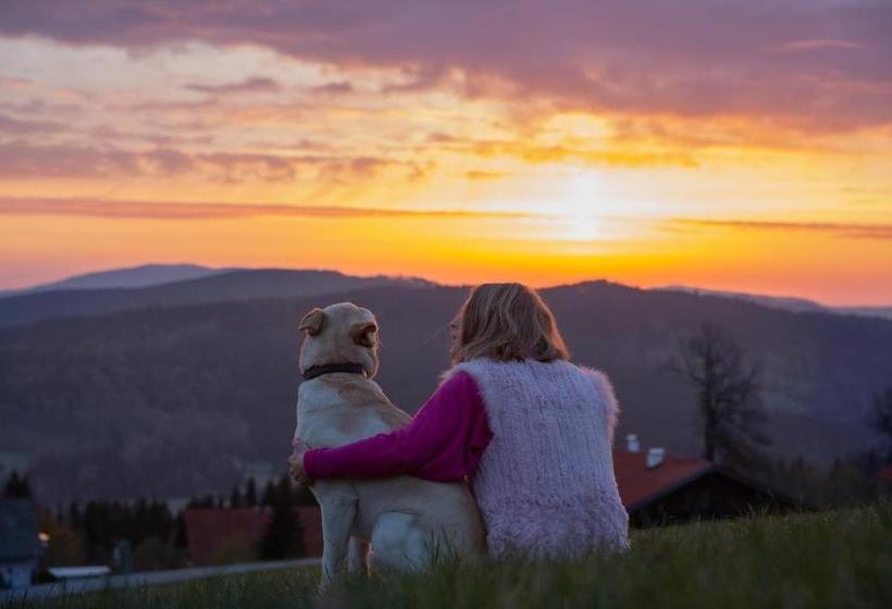 Отель Hunderesort Waldeck Urlaub Mit Hund Superior