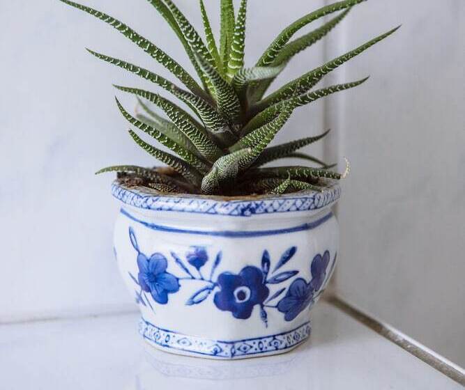 مبيت وإفطار Pension Bertha