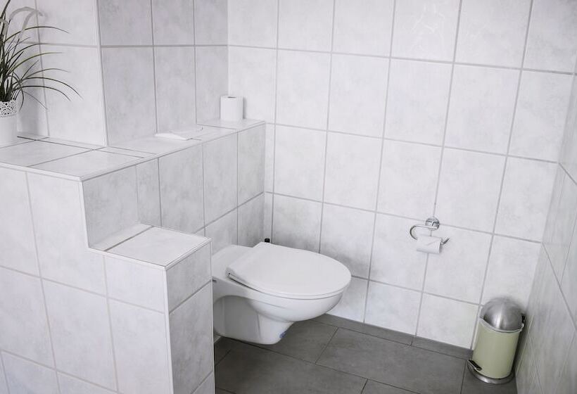 مبيت وإفطار Pension Bertha