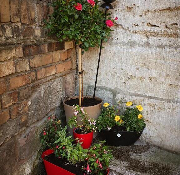 مبيت وإفطار Pension Bertha