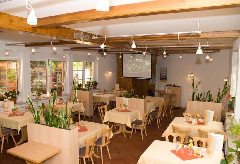 فندق & Restaurant Zur Weintraube