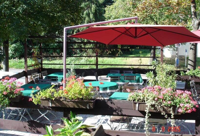 فندق & Restaurant Zur Weintraube